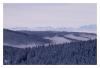 FeldbergblickN.jpg